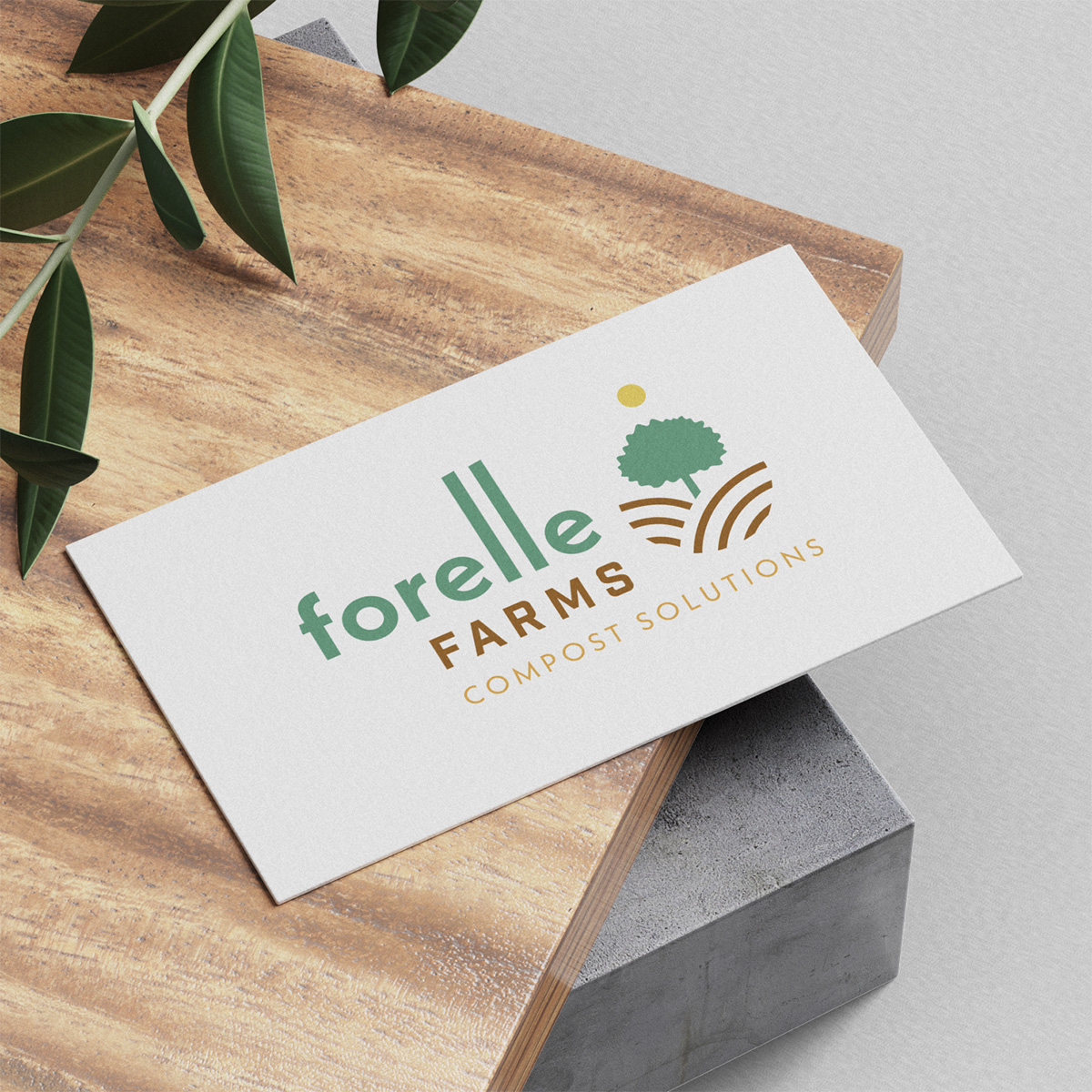 Home_thumb-4_new